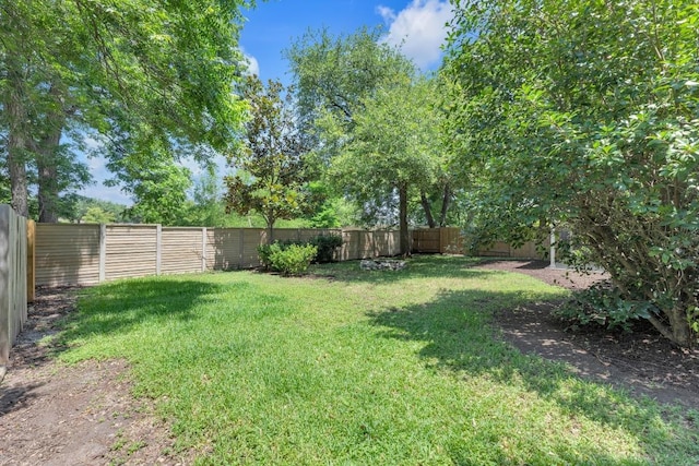 1908 Paradise Ridge Dr, Round Rock, TX 78665 - view of yard