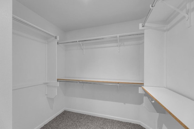 1908 Paradise Ridge Dr, Round Rock, TX 78665 - spacious closet featuring carpet