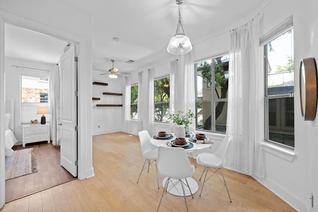 2216 Thornton Rd Unit 221, Austin, TX 78704 - dining area featuring plenty of natural light, light wood finished floors, ceiling fan, and baseboards