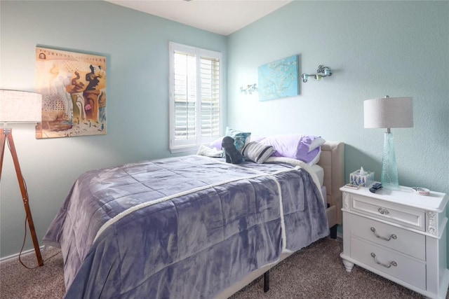 133 Camden Cv, Buda, TX 78610 - photo 20