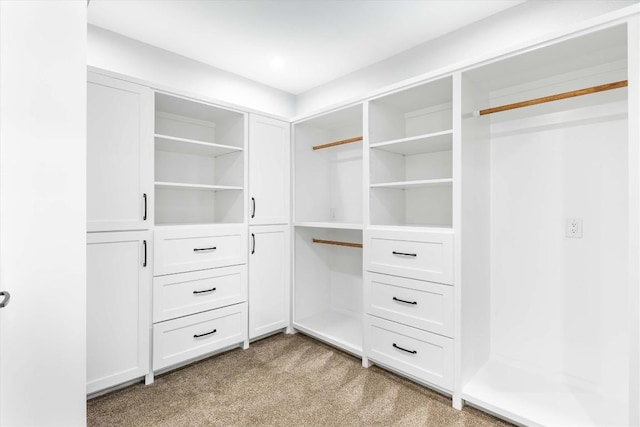 178 Balch Rd, Elgin, TX 78621 - walk in closet with light carpet