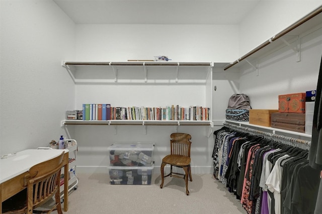 192 Call Dr, Austin, TX 78737 - walk in closet featuring carpet flooring