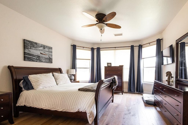 110 Saint Richie Ln, Austin, TX 78737 - bedroom with light wood-type flooring, multiple windows, and ceiling fan
