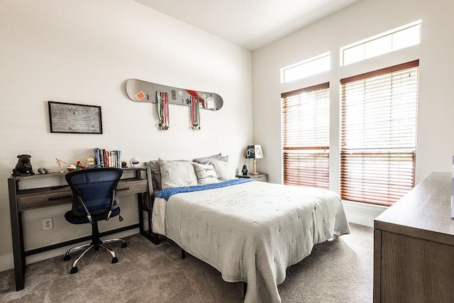 110 Saint Richie Ln, Austin, TX 78737 - bedroom with carpet and an office area