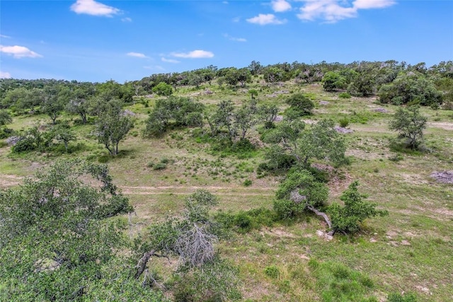 8 Newman Dr, Austin, TX 78738