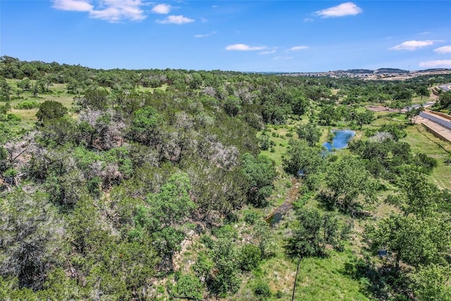 8 Newman Dr, Austin, TX 78738