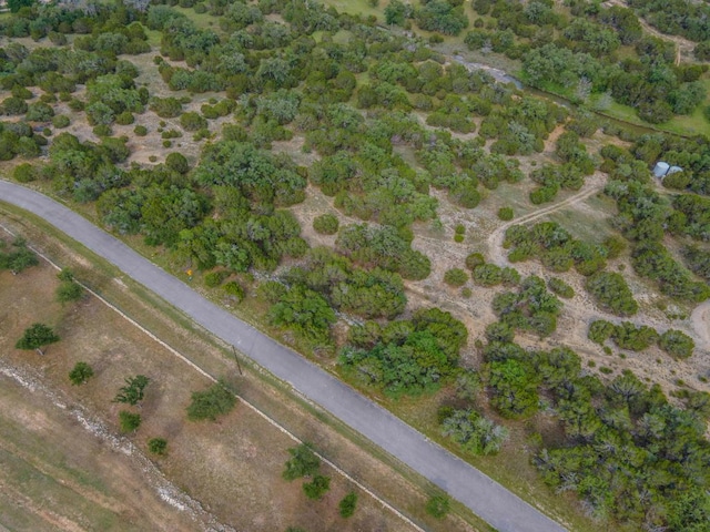 465 Lost Valley Rd, Dripping Springs, TX 78620 - photo 4