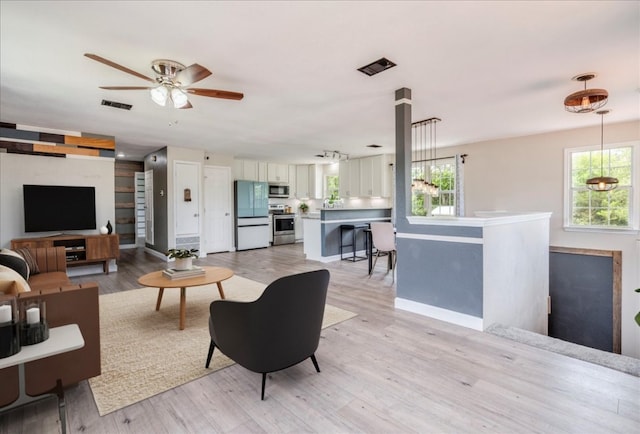 8204 Williamson Creek Dr, Austin, TX 78736 - living area with plenty of natural light, light wood-style floors, a ceiling fan, and baseboards