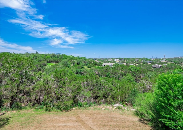 14410 Hunters Pass, Austin, TX 78734 - view of local wilderness