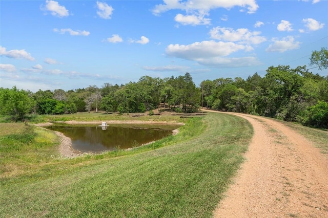 136 Red Fox Ln, Bastrop, TX 78602 - water view with a heavily wooded area