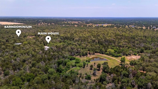 136 Red Fox Ln, Bastrop, TX 78602 - aerial view of property and surrounding area with a heavily wooded area and a nearby body of water