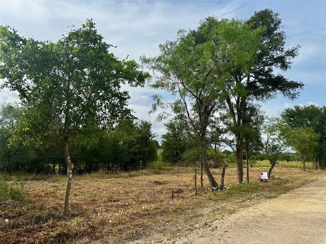 271 Crooked Rd, Dale, TX 78616