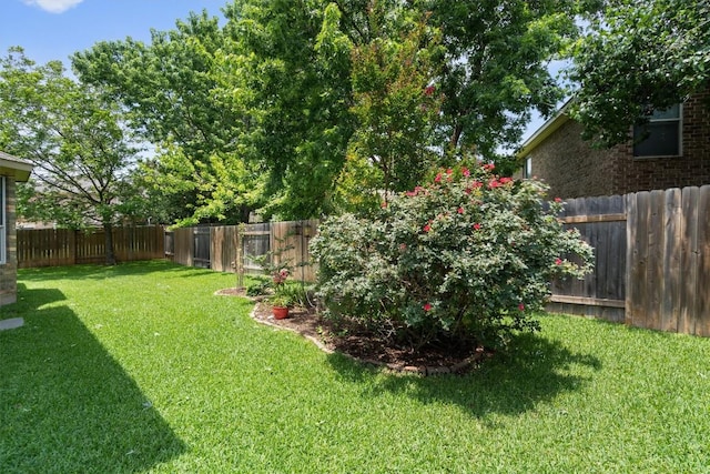 306 Water Oak Dr, Cedar Park, TX 78613 - view of yard