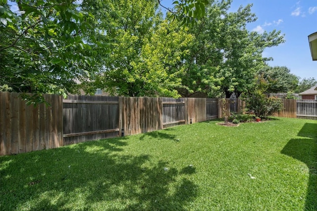 306 Water Oak Dr, Cedar Park, TX 78613 - view of yard