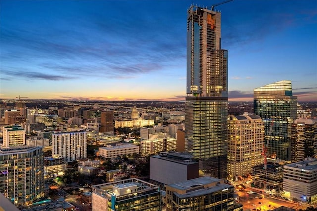 301 W Ave Unit 4103, Austin, TX 78701 - view of city