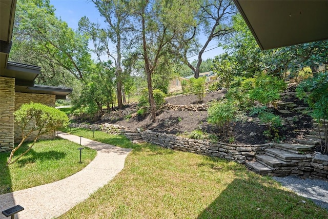 3403 Cascadera Dr, Austin, TX 78731 - view of green lawn