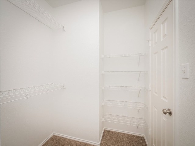 604 Creston St, Hutto, TX 78634 - photo 17