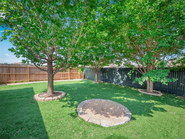 604 Creston St, Hutto, TX 78634 - view of yard