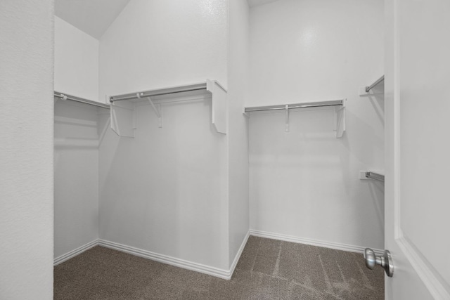 7904 Prairie Rye Dr, Lago Vista, TX 78645 - photo 24