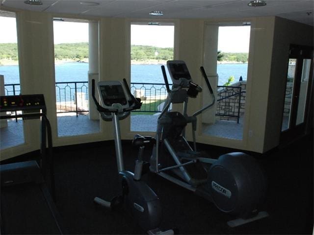 3404 American Dr Unit 2101, Lago Vista, TX 78645 - exercise room with a water view