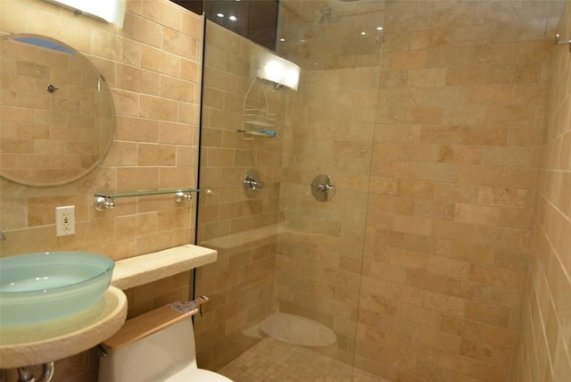 3404 American Dr Unit 2101, Lago Vista, TX 78645 - full bathroom featuring a walk in shower, toilet, and a sink