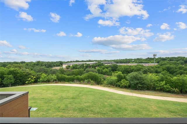 4702 Unity Cir, Austin, TX 78731 - view of grassy yard