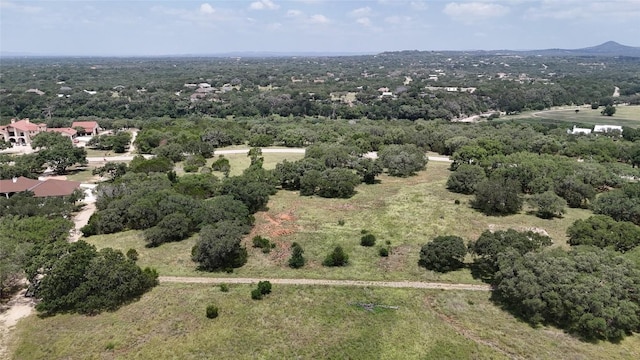 2412 Palomino Spgs, Bandera, TX 78003 - photo 8