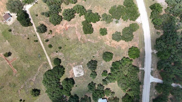 2412 Palomino Spgs, Bandera, TX 78003 - photo 3