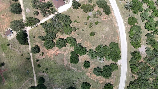 2412 Palomino Spgs, Bandera, TX 78003 - photo 7