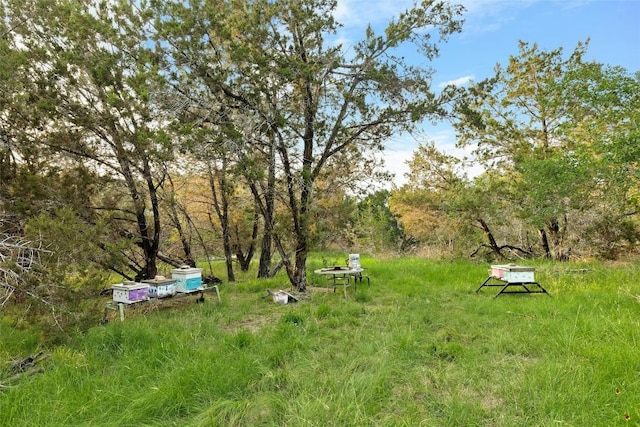 900 Lost Valley Rd, Dripping Springs, TX 78620