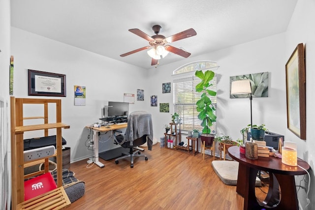 1112 Battenburg Trl, Pflugerville, TX 78660 - home office featuring ceiling fan and wood finished floors