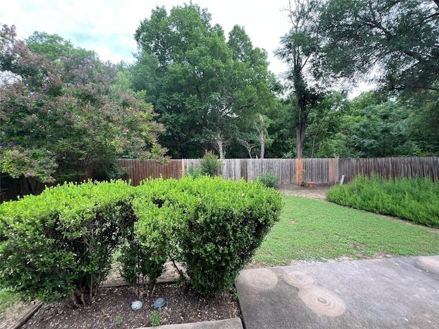 6612 Zequiel Dr, Austin, TX 78744 - view of yard