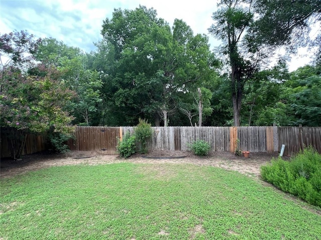 6612 Zequiel Dr, Austin, TX 78744 - view of yard