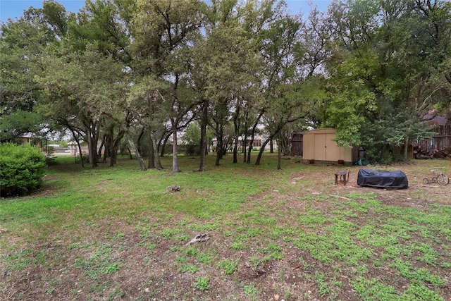 1313 Oakridge Dr, Blanco, TX 78606 - view of yard