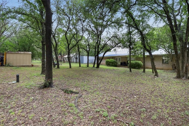 1313 Oakridge Dr, Blanco, TX 78606 - view of yard