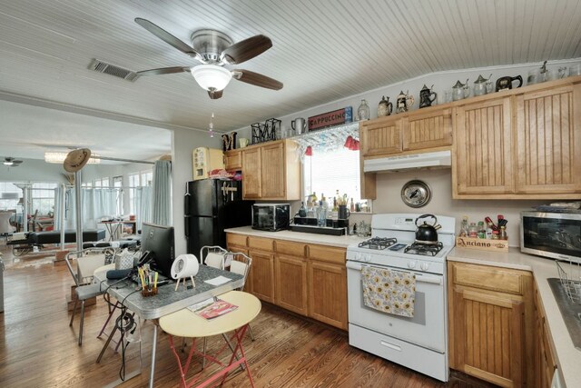 3780 Fm 972, Georgetown, TX 78673 - kitchen with black appliances, under cabinet range hood, healthy amount of natural light, and ceiling fan
