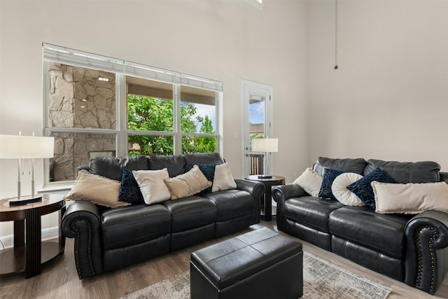 21105 Huckabee Bnd, Pflugerville, TX 78660 - living room with wood finished floors