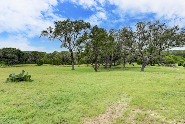 11700 Rim Rock Trl, Austin, TX 78737 - view of grassy yard