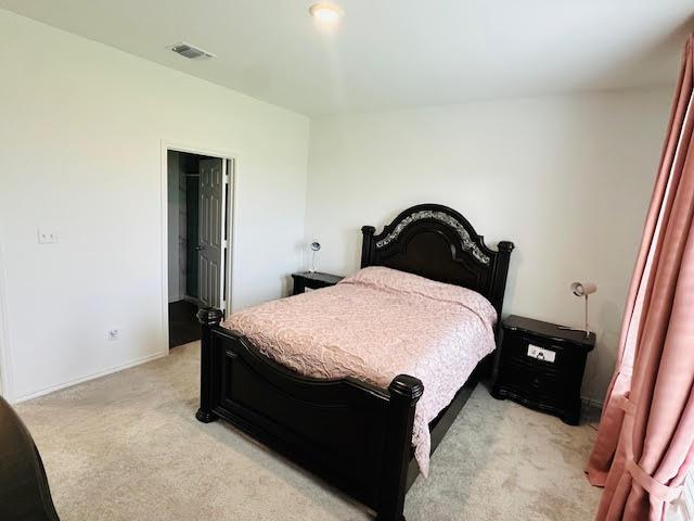 500 Kaitlyn Cir, Liberty Hill, TX 78642 - photo 14