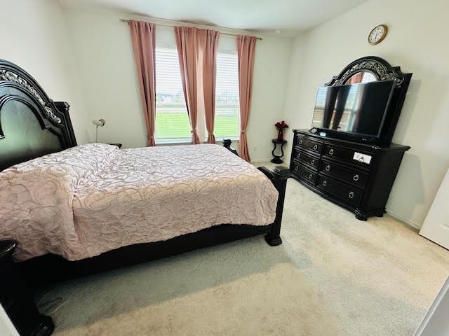 500 Kaitlyn Cir, Liberty Hill, TX 78642 - photo 15