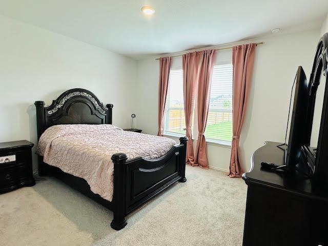 500 Kaitlyn Cir, Liberty Hill, TX 78642 - photo 16