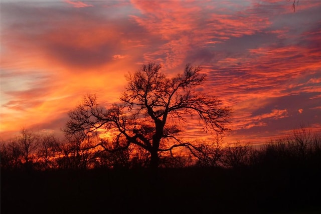 123 Konahuanui Ln, Bastrop, TX 78602 - view of nature