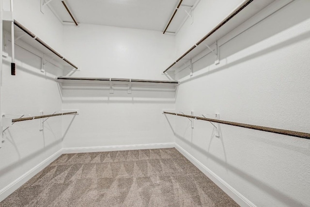 1905 Mariann Dr, Leander, TX 78641 - walk in closet featuring carpet floors