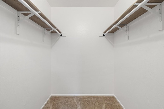 2205 Thornwild Pass, Austin, TX 78758 - spacious closet with carpet