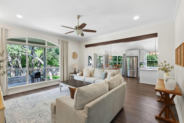1008 Twin Terrace Ct, Round Rock, TX 78665 - living room with ceiling fan, dark wood finished floors, ornamental molding, and recessed lighting
