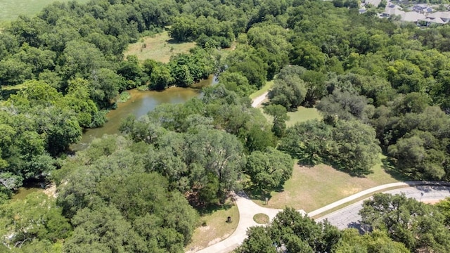 1008 Twin Terrace Ct, Round Rock, TX 78665 - aerial overview of property's location with a forest