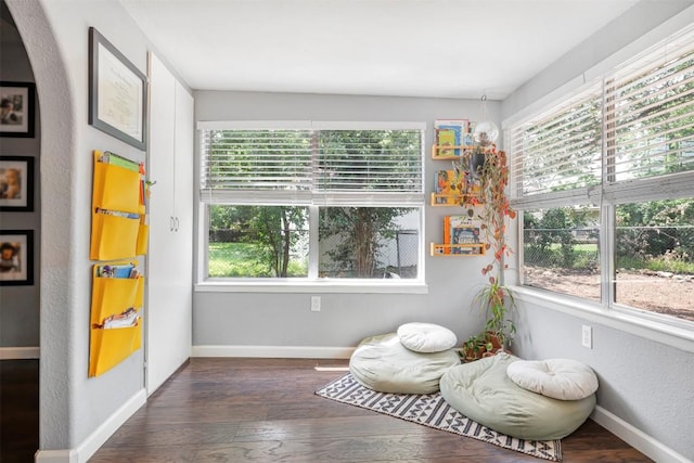 1906 Garden Villa Dr, Georgetown, TX 78628 - living area with plenty of natural light, hardwood / wood-style floors, and arched walkways