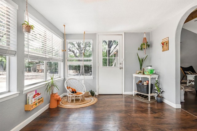 1906 Garden Villa Dr, Georgetown, TX 78628 - sunroom with arched walkways