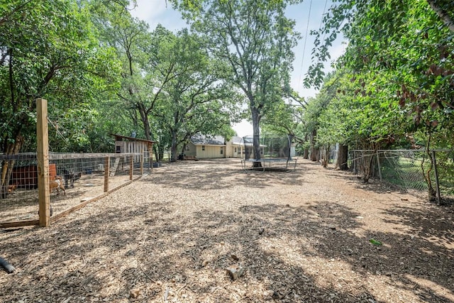1906 Garden Villa Dr, Georgetown, TX 78628 - view of yard with a trampoline and an outbuilding