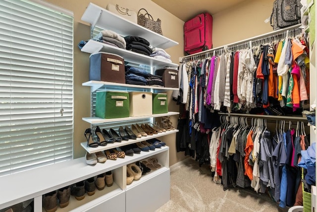2644 Salorn Way, Round Rock, TX 78681 - spacious closet featuring carpet